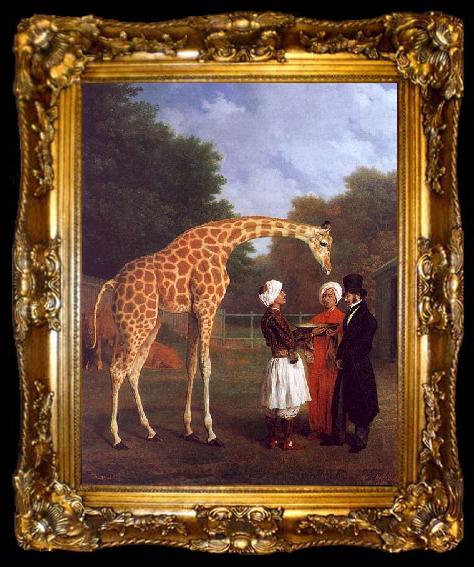 framed  Jacques-Laurent Agasse The Nubian Giraffe, ta009-2
